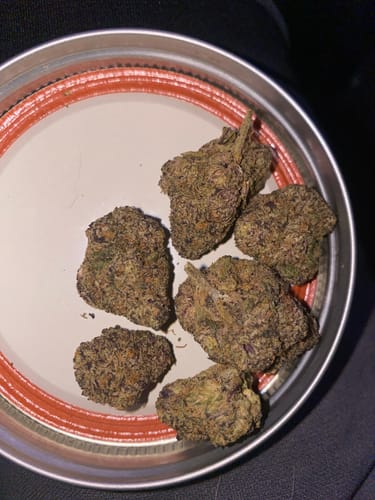 Customer photo review of Curelato - Indoor THCA