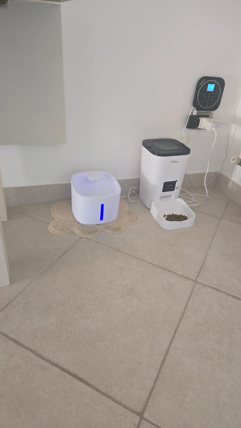 Customer photo review of Fontana per Animali Domestici