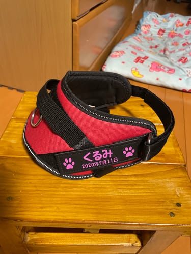 Customer photo review of FunFunPet 高機能ハーネス（お名前タグ作成サービス付き）