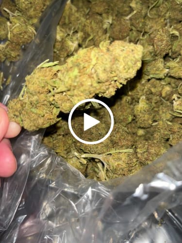 Customer video review of Cheap THCA Flower Pound (450g)
