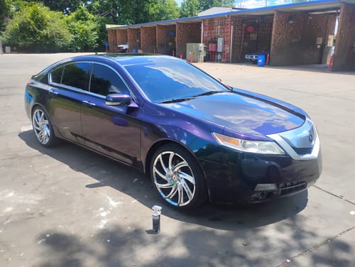 Customer photo review of Serpent Paint Basecoat