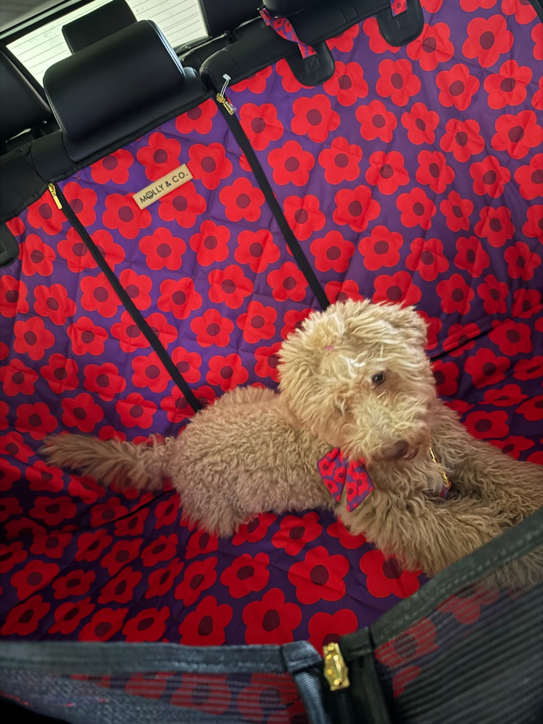 Customer photo review of Mon Chéri - Dog Car Seat Cover