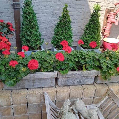 Customer photo review of 18V Cordless Pressure Sprayer 7.5 L