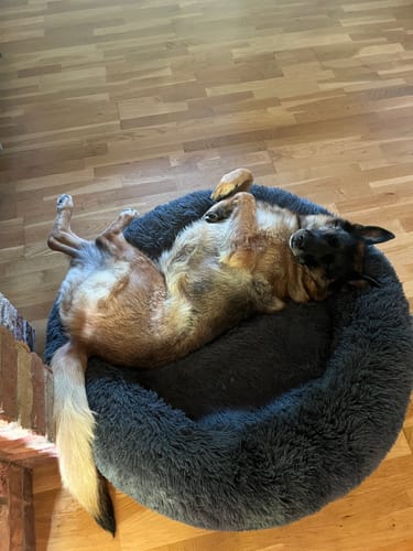 Customer photo review of CalmBed - Motverkar stress & hjälper mot ångest