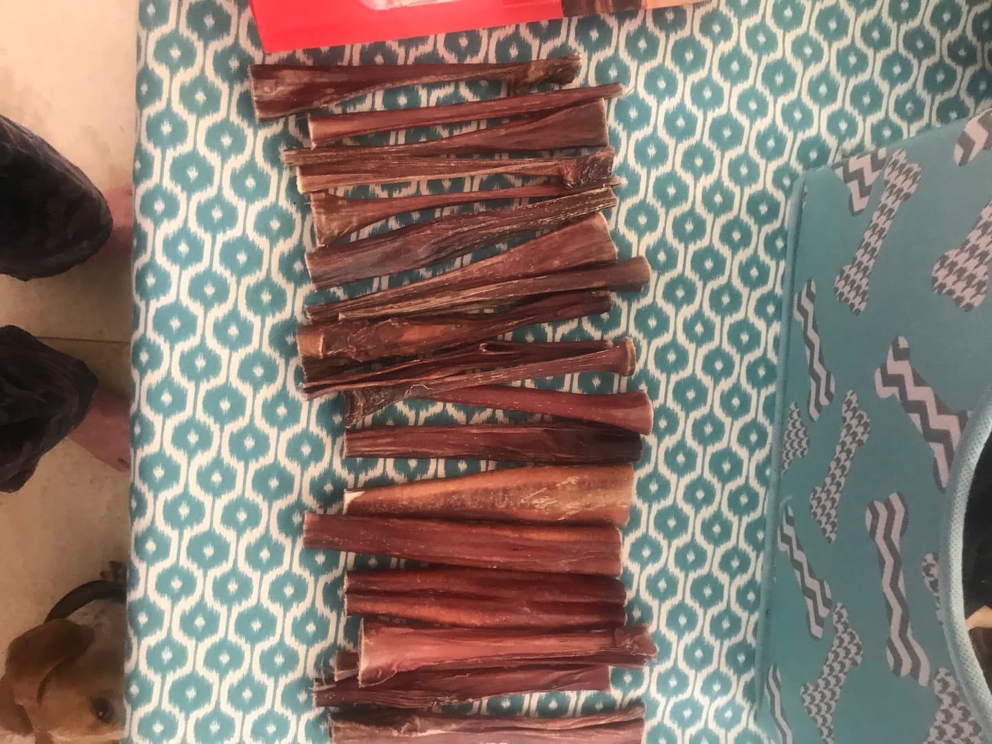 Customer photo review of 6 Inch Thin Bully Sticks