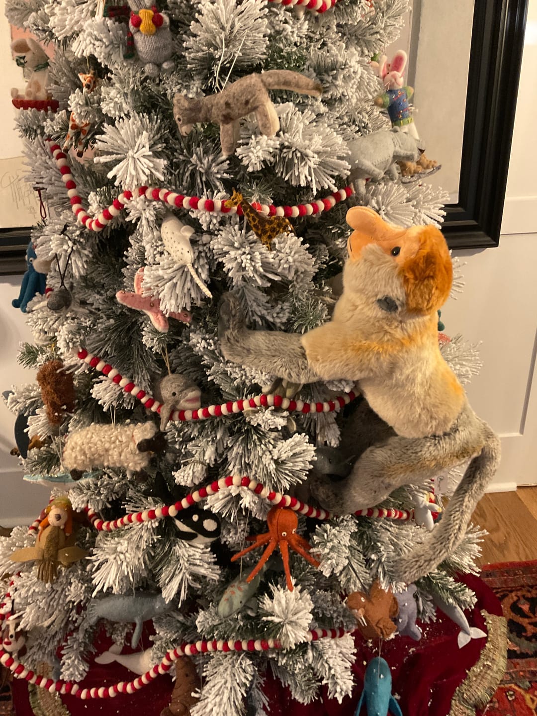 Customer photo review of Proboscis Long-Nosed Monkey Soft Stuffed Plush Toy