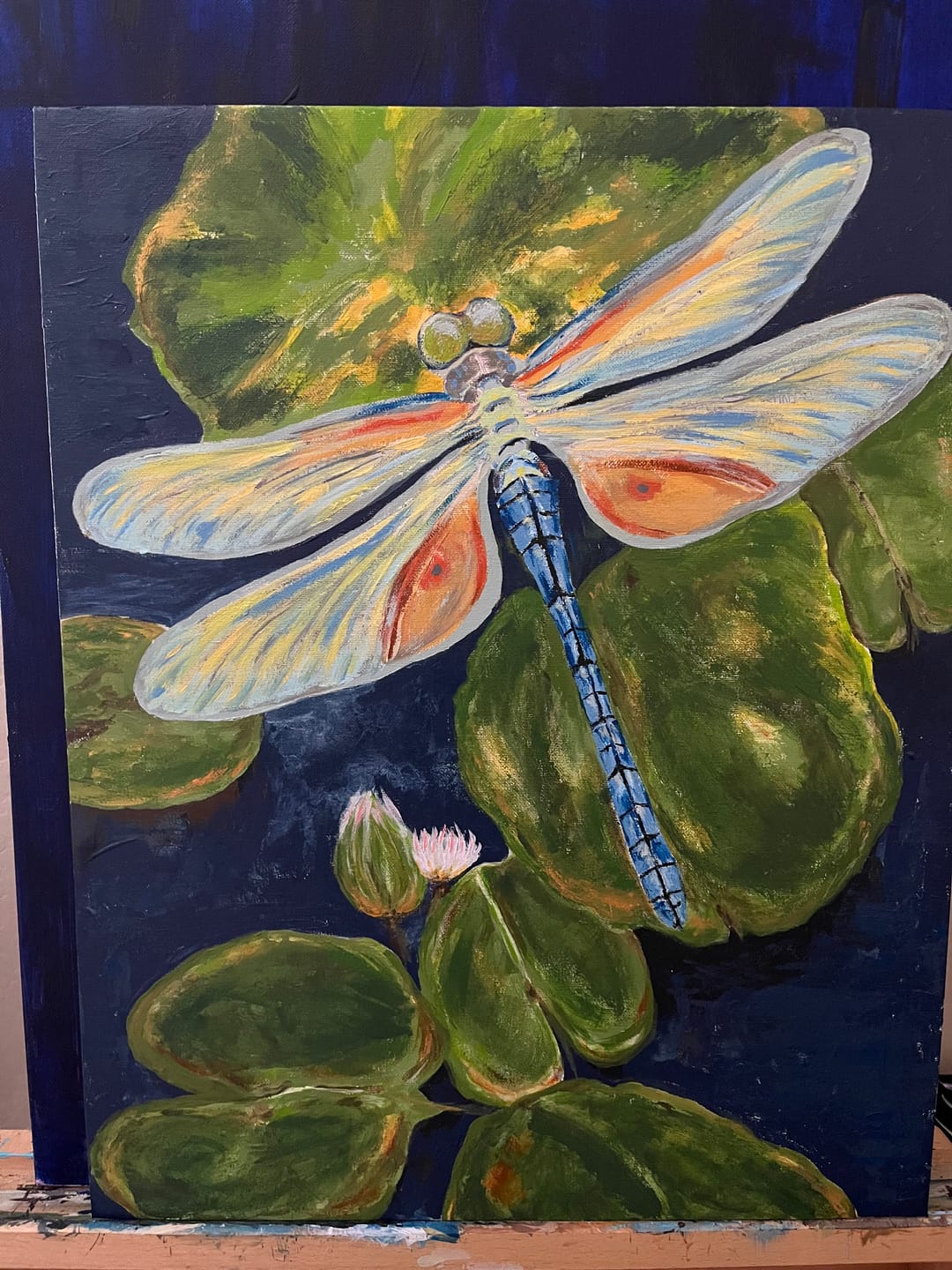 Customer photo review of Dragonfly Lily