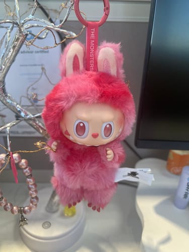 Customer photo review of Pop Mart Labubu The Monsters Big into Energy Series Vinyl Plush Pendant Single Blind Box