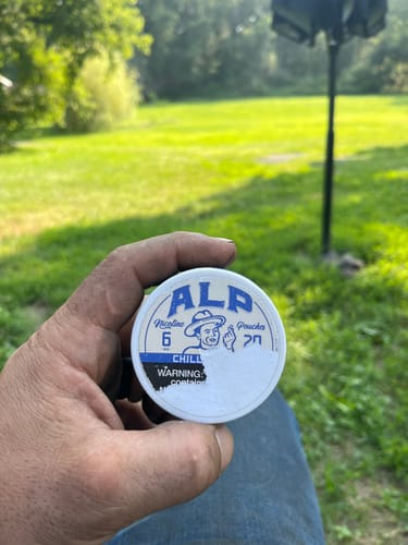 Customer photo review of Chilled Mint Nicotine Pouches