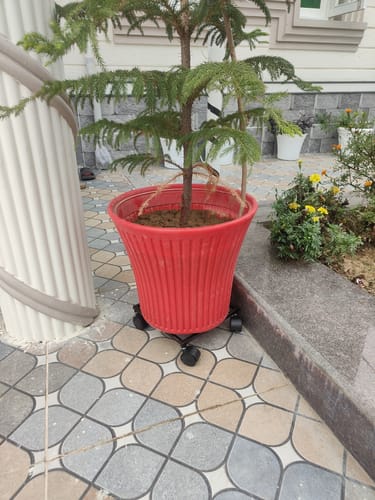 Customer photo review of United Crafts Rozy Wheel Pot Stands for Planters