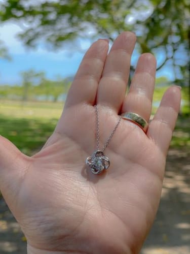 Customer photo review of 🌹Pack Rosa Eterna™