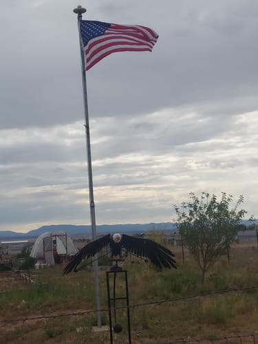 Customer photo review of 3' x 5' American Flag