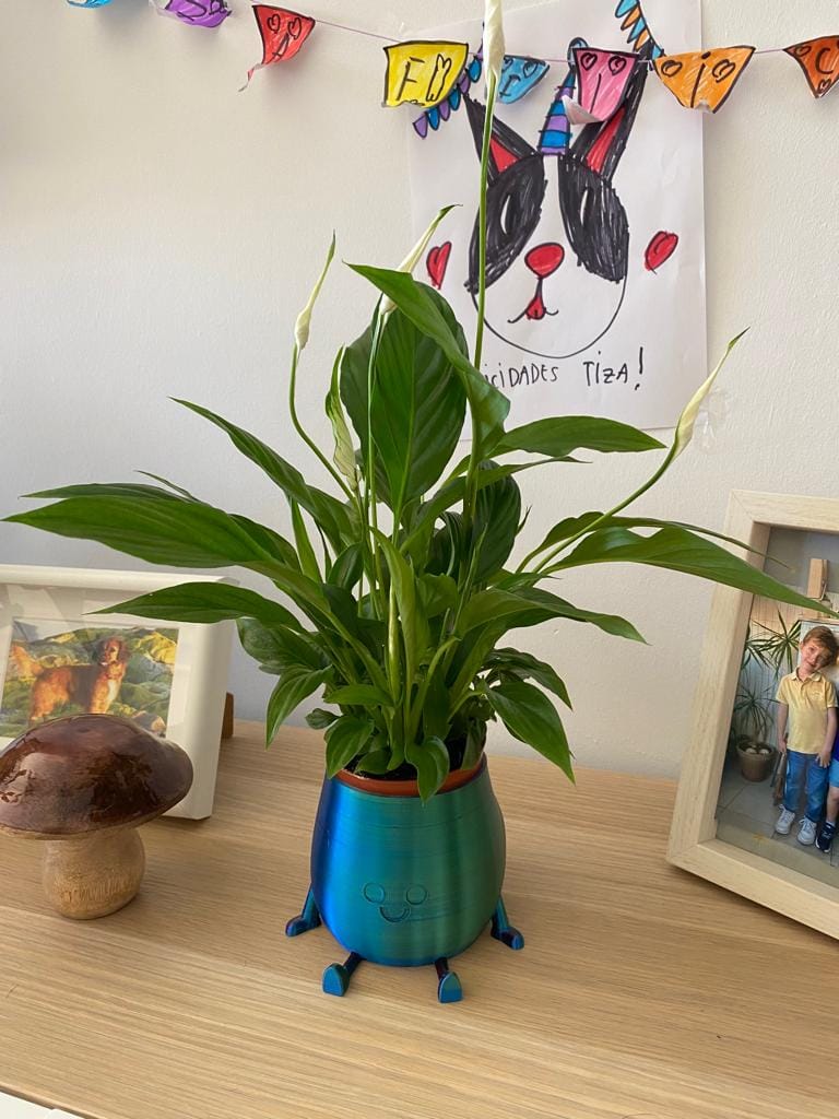Customer photo review of PLA de seda