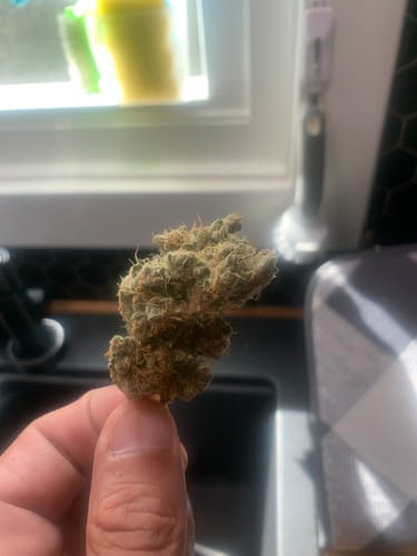 Customer photo review of Shishkaberry x Old Widow