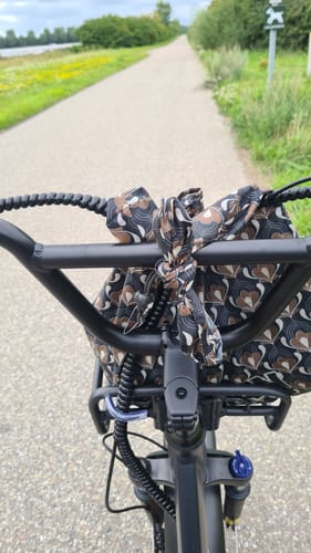 Customer photo review of Engwe L20 - Onyx Zwart