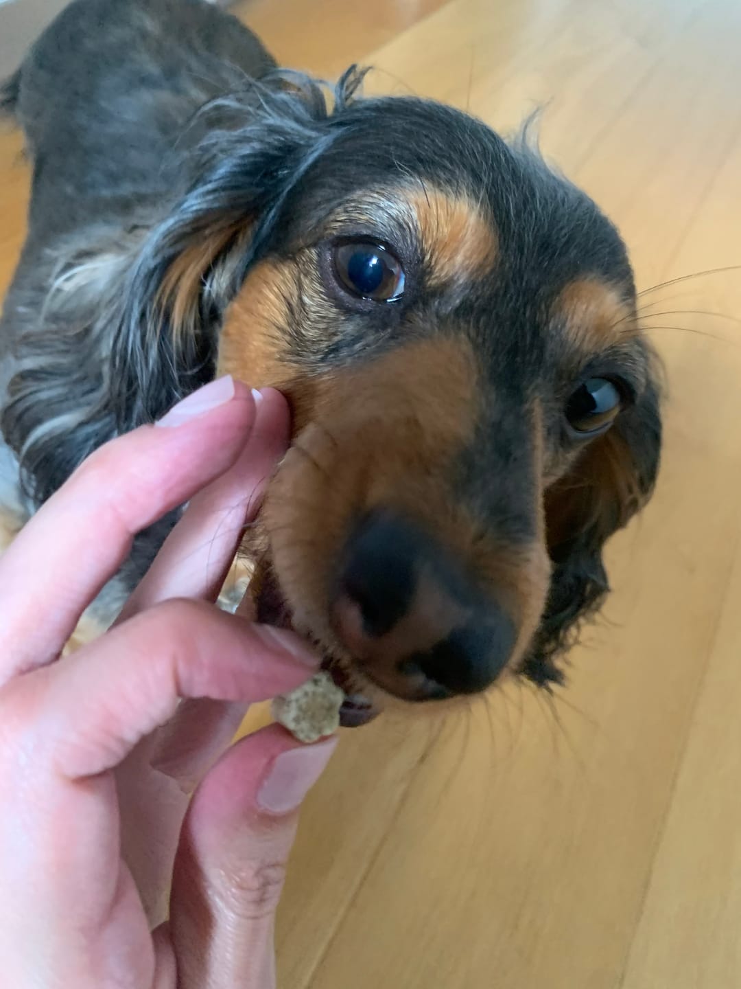 Customer photo review of FREE Taste Testing Bundle