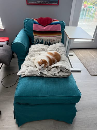 undefined review of Ektorp Chaise Lounge Cover Left Cover image 1 out of 1