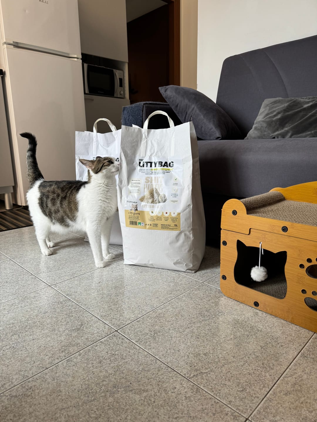 Customer photo review of LittyBag - La Prima Sabbietta Naturale a Clumping Superficiale