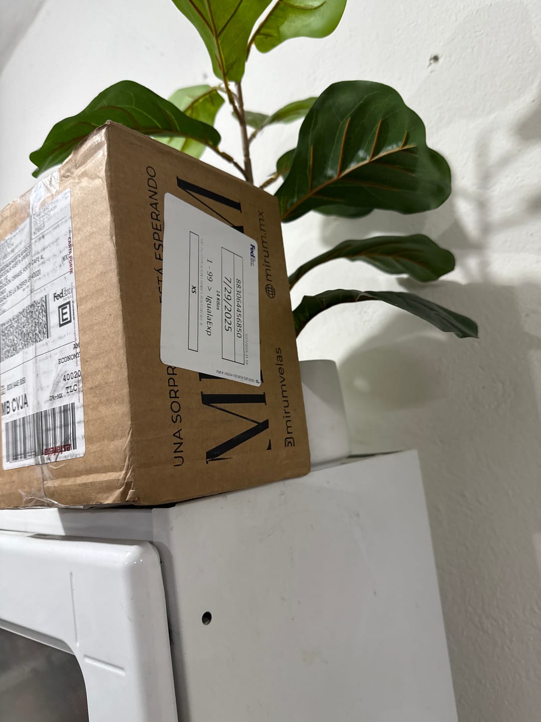 Customer photo review of TOPACIO