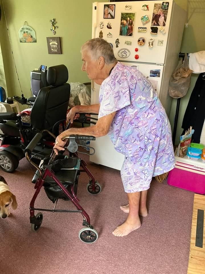 Customer photo review of HFK-9240 Dual-Brake Upright walker 10" wheels