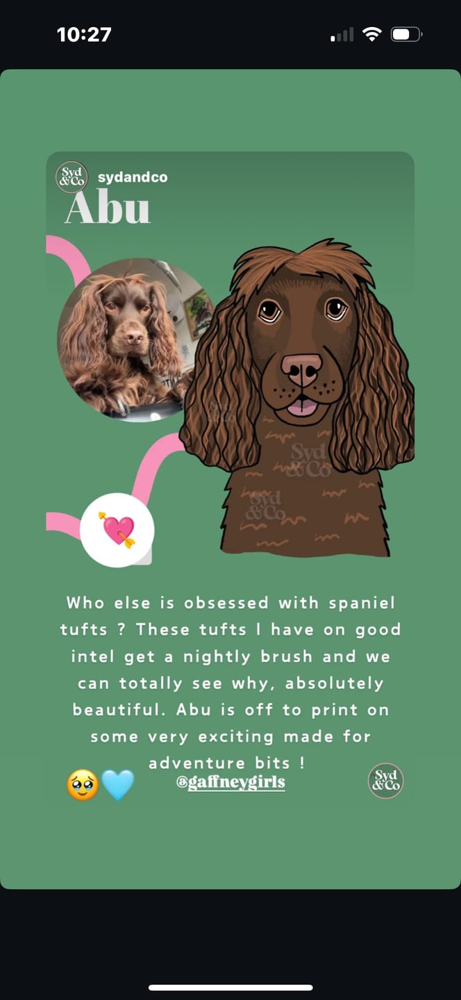 Customer photo review of Design Tweak