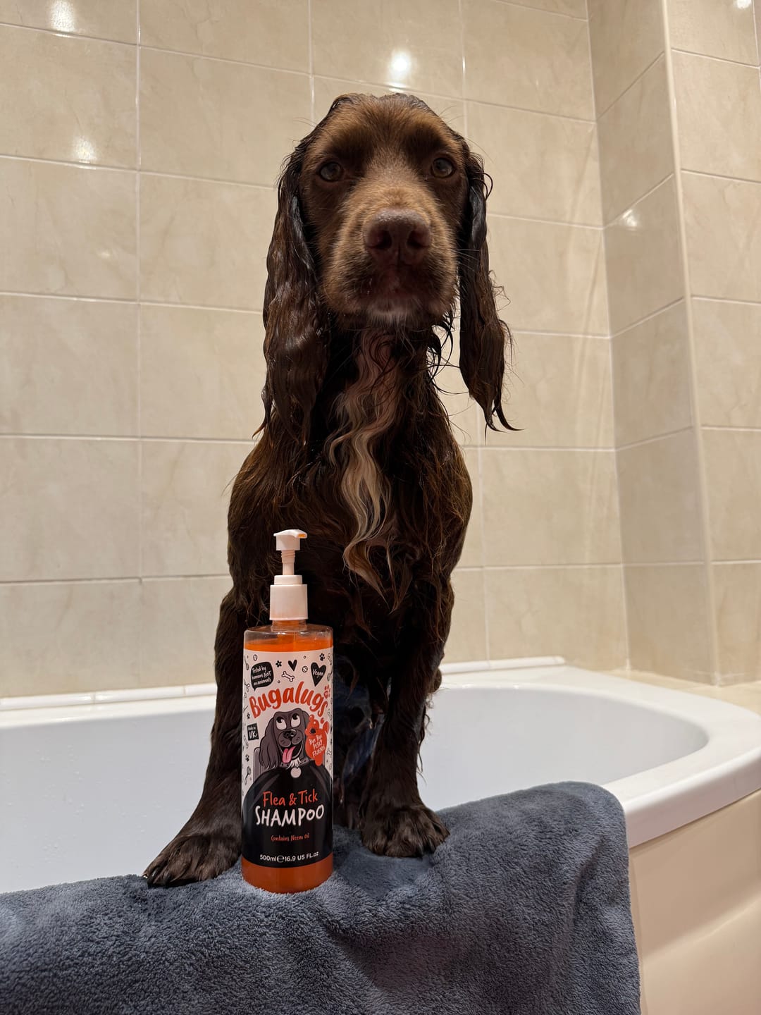 Customer photo review of Flea and Tick Dog Shampoo with Neem Oil