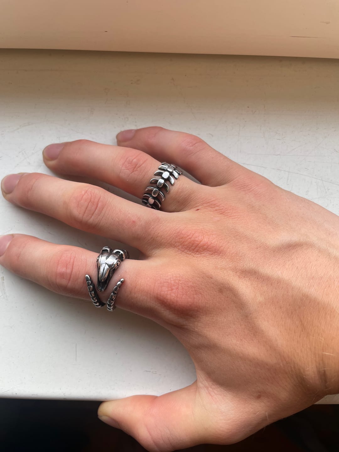 Customer photo review of STEEL SPINE.