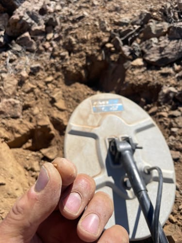 Customer photo review of 13x9 Evo2 by Nugget Finder