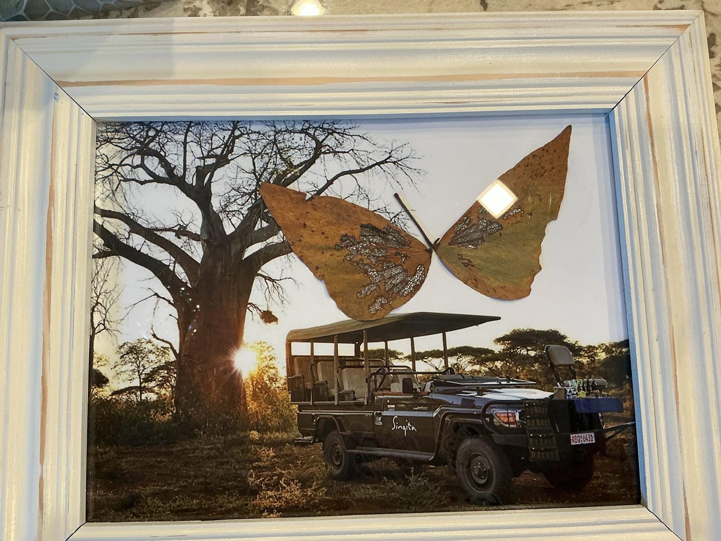 Customer photo review of Printing Service - Any Print, Custom Size - Matte and Luster