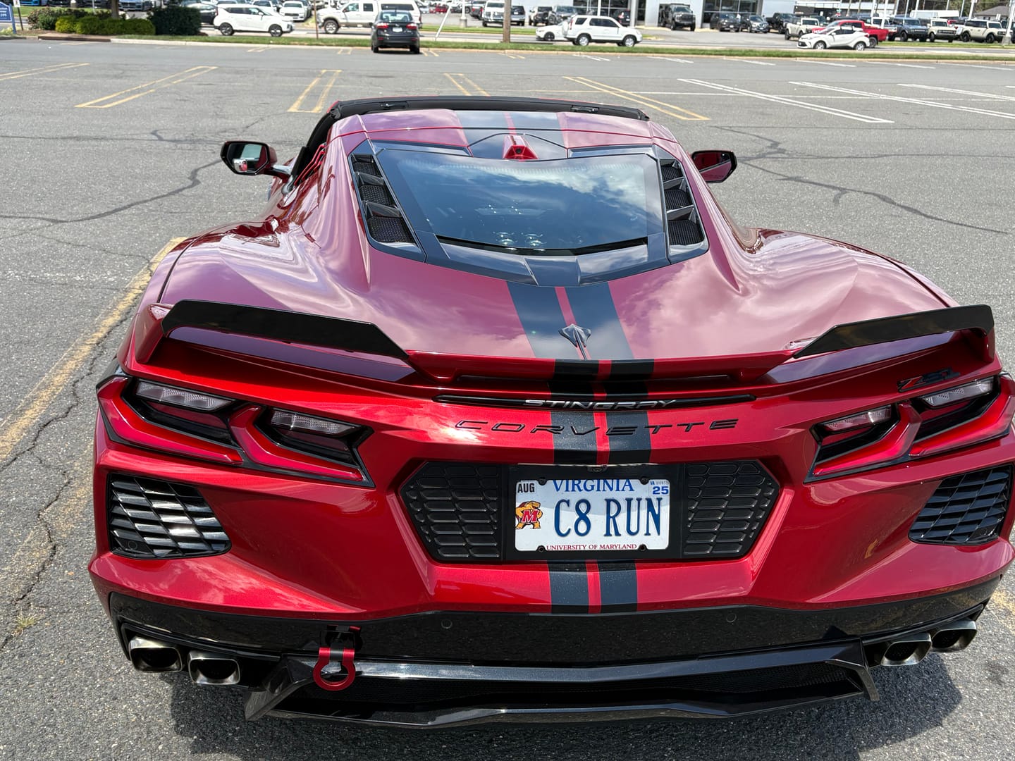 Customer photo review of Corvette C8 Z51 Rear Spoiler Add-On Wicker Extension
