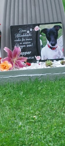 Customer photo review of Hunde Gedenktafel mit Foto & Spruch (UV- & Wetterfest)