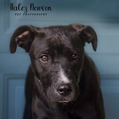 Customer photo review of Sharpen Focus Photoshop Actions