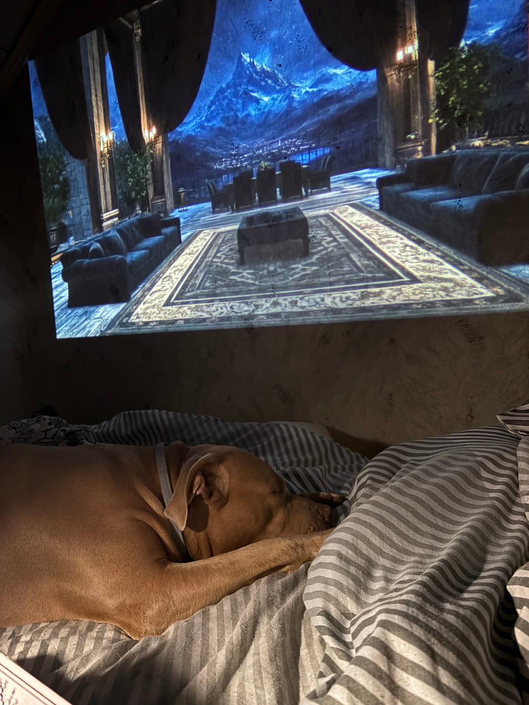 Customer photo review of Realm Cast Projector
