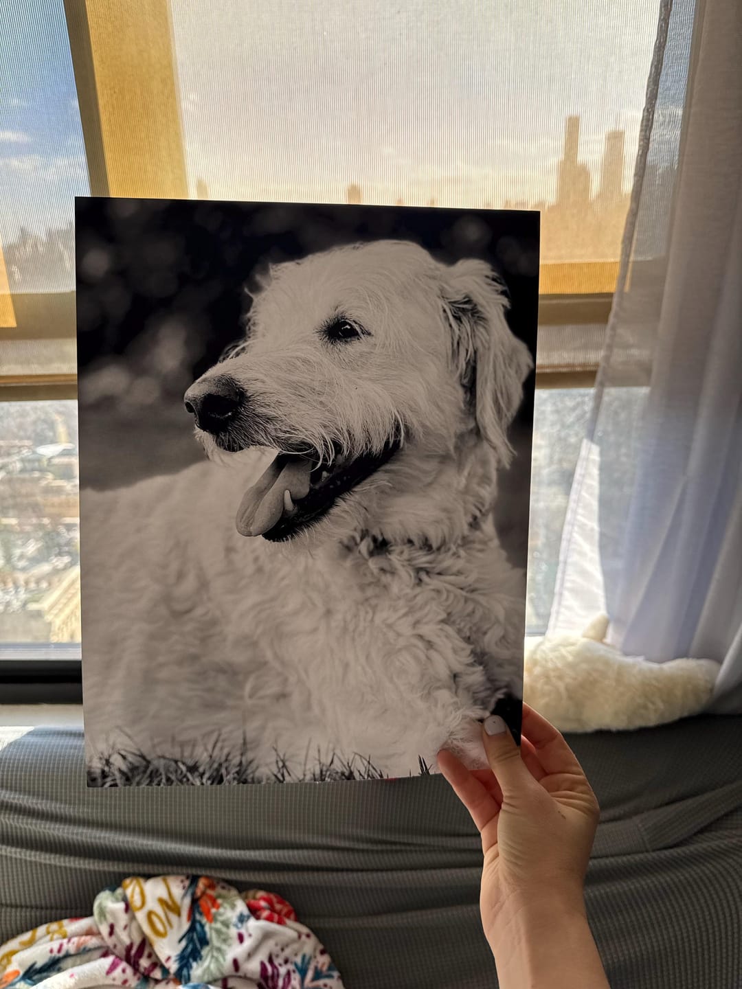 Customer photo review of Printing Service - Any Print, Custom Size - Matte and Luster