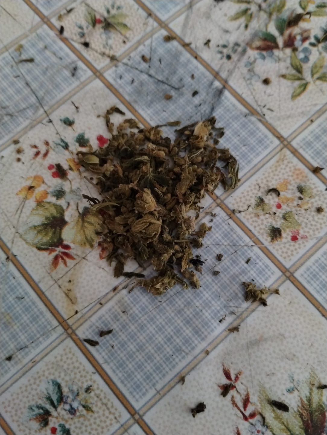 Customer photo review of Support for groundbreaking carbon removal technologies.
