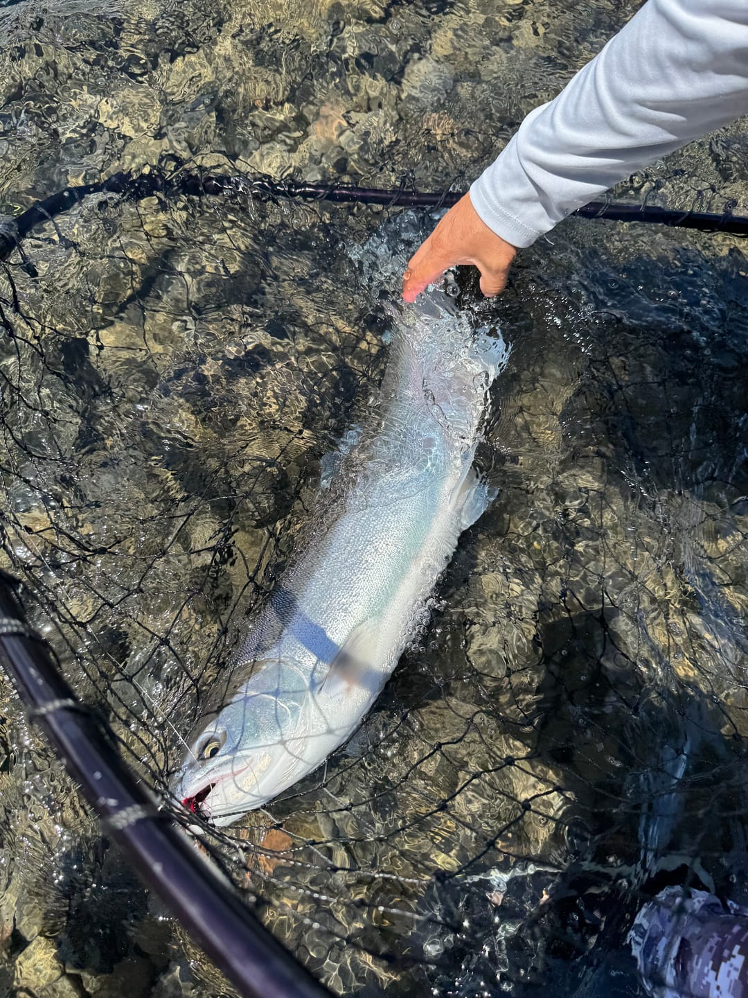 Customer photo review of Stealth SMX Floats
