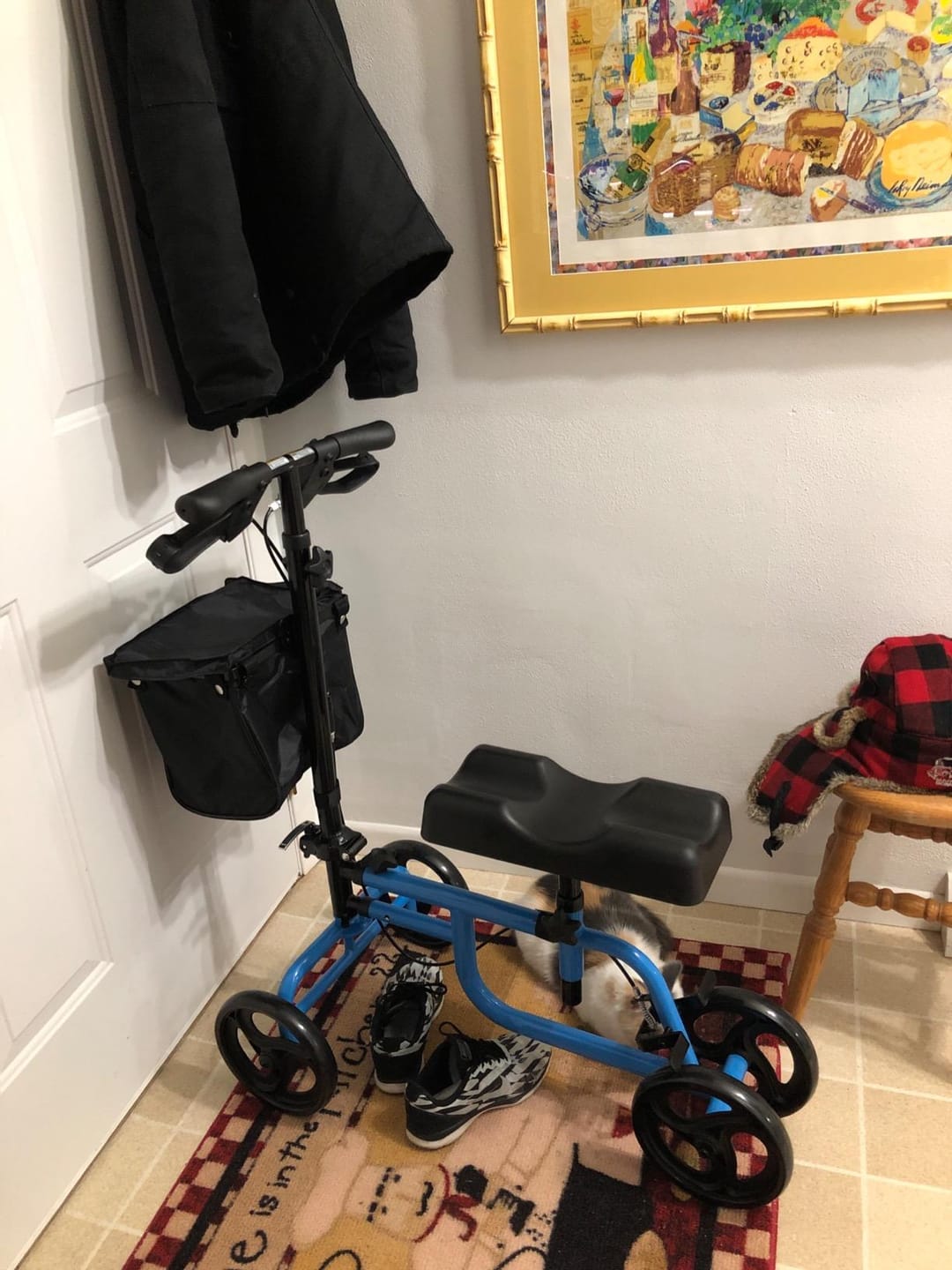 Customer photo review of MT-9251 Best Value Steerable Medical Knee Walker with 10" Wheels