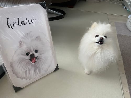 Customer photo review of Petcanva©オーダーメイド ペット似顔絵