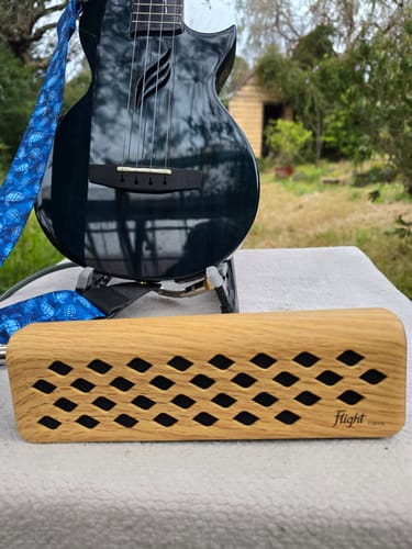 Customer photo review of Flight Tiny6 Amplifier Portable Mini Ukulele Amplifier with Maple-Effect Case