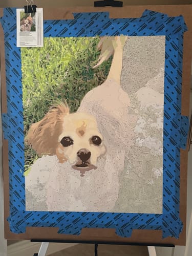 Customer photo review of Custom Paint by Numbers Kit