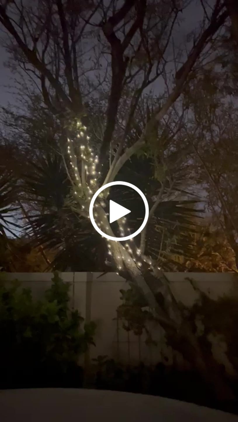 Customer video review of Copper Wire Solar Fairy Lights