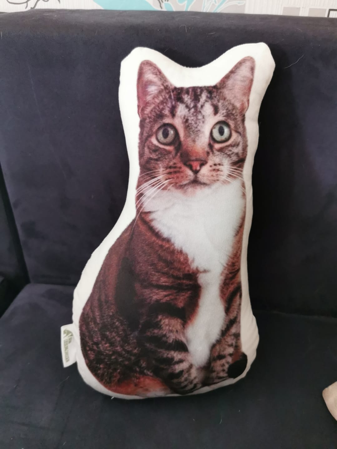 Customer photo review of Personalisiertes Katzenkissen