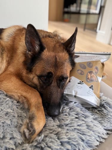 Customer photo review of Green Lipped Mussels - Whole