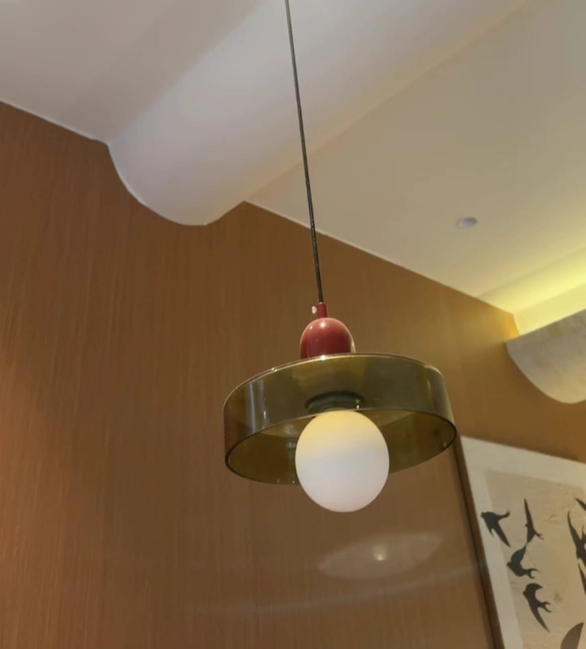 Customer photo review of Luminária Pendente Moderna Nórdica