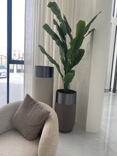 Customer photo review of Skyline Stainless Steel and PU Leather Planter Box 120cm TG-P05