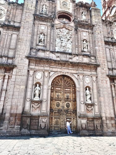 Customer photo review of HK Green High Ceriani