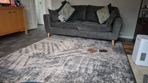 Customer photo review of The Mellow Mat® Designer Print | Grey Expressions (Soft Touch Sensory Tatami Rug)