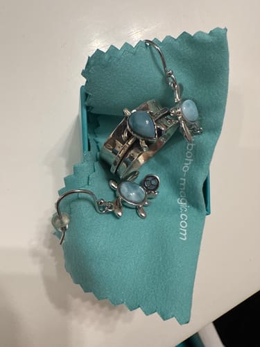 Customer photo review of Turtle Larimar Fidget Ring