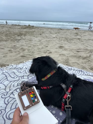 Customer photo review of Tobio's™ Watercolor Kit