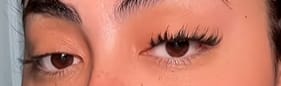 Customer photo review of Velvet Wing